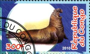 Stamp, Marine mammals, Cinderellas,  