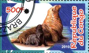 Stamp, Marine mammals, Cinderellas,  