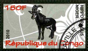 Stamp, Hippotragus niger, Cinderellas,  