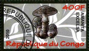 Stamp, Amanita excelsa, Cinderellas,  , Mushrooms
