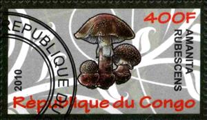 Stamp, Amanita rubescens, Cinderellas,  , Mushrooms