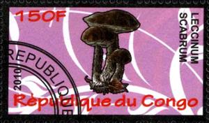 Stamp, Leccinum scabrum, Cinderellas,  , Mushrooms