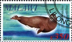 Stamp, Monachus monachus, Cinderellas,  