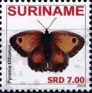 Stamp, Gatekeeper (Pyronia tithonus), Suriname,  , Animals (Fauna), Butterflies, Insects