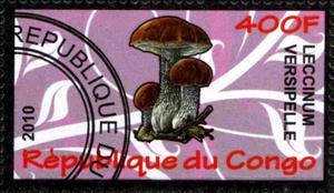 Stamp, Leccinum versipelle, Cinderellas,  , Mushrooms