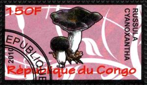 Stamp, Russula cyanoxantha, Cinderellas,  , Mushrooms