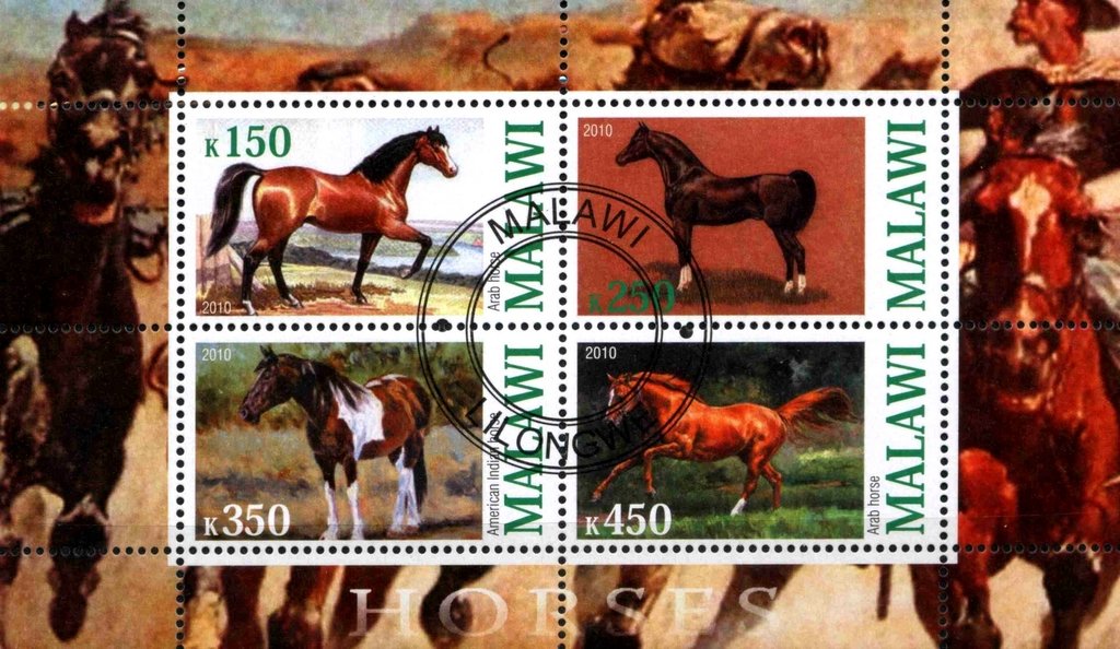 Horses
