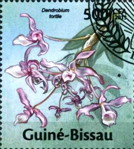Stamp, Dendrobium tortile, Guinea-Bissau,  , Orchids