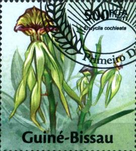 Stamp, Encyclia cochleata, Guinea-Bissau,  , Orchids