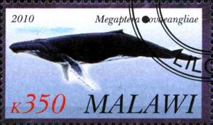 Stamp, Megaptera, Cinderellas,  