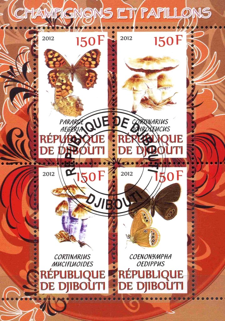 Champignons et pappilons