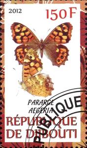 Stamp, Pararge aegeria, Cinderellas,  , Butterflies