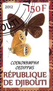 Stamp, Coenonympha oedippus, Cinderellas,  , Butterflies