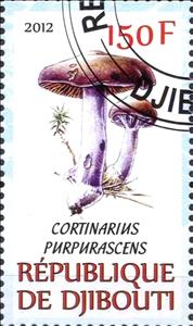 Stamp, Cortinarius purpurascens, Cinderellas,  , Mushrooms