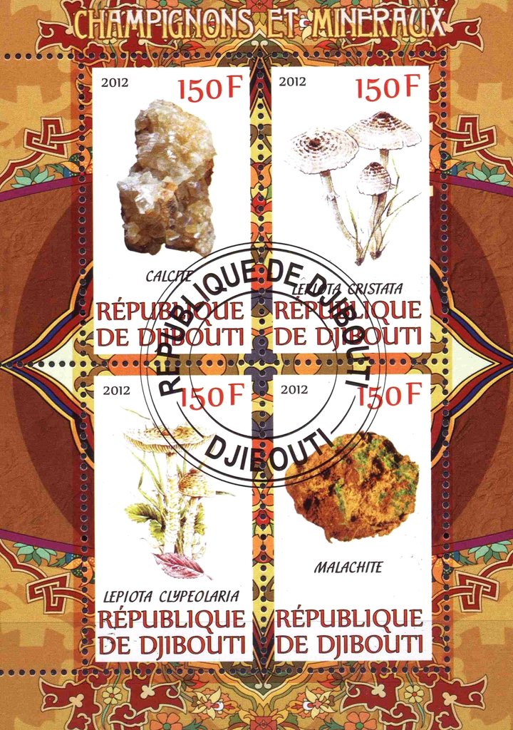 Champignons et mineraux