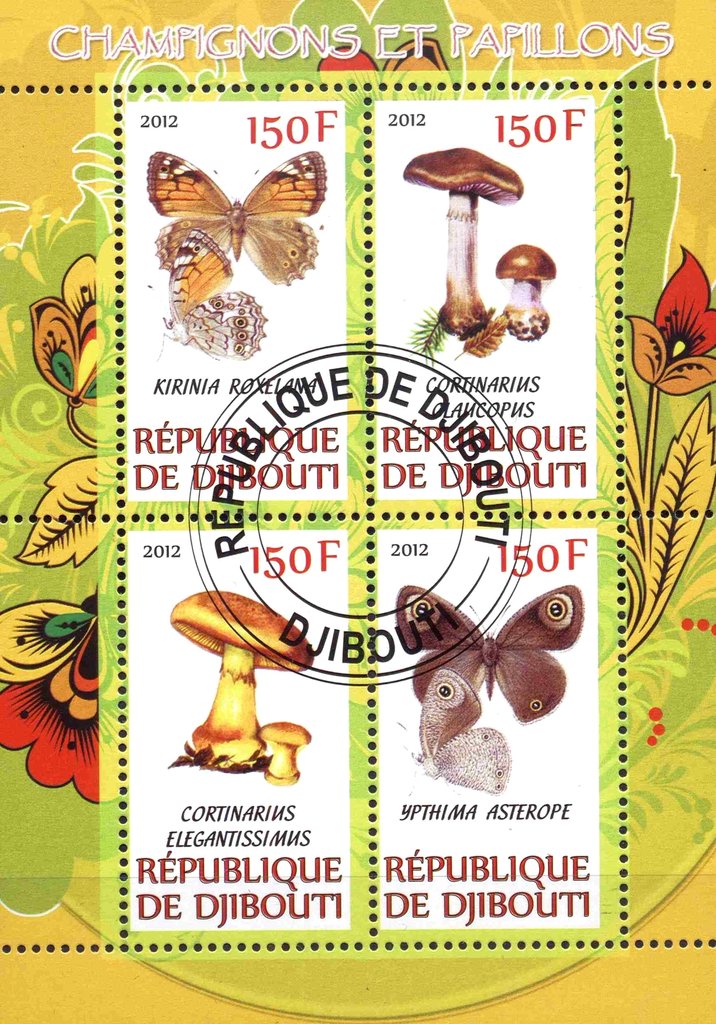 Champignons et pappilons