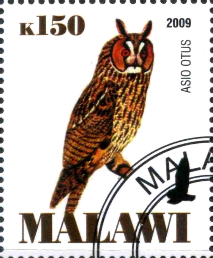 Asio Otus