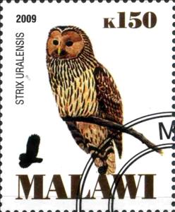 Stamp, Strix Uralensis, Cinderellas,  , Animals (Fauna), Birds, Birds of Prey, Owls