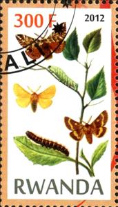 Stamp, Butterflies and Plants, Cinderellas,  , Butterflies