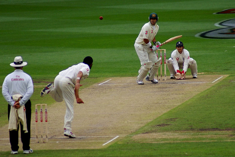 Cricket
