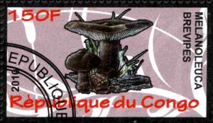 Stamp, Melanoleuca brevipes, Cinderellas,  , Mushrooms