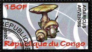 Stamp, Agaricus arvensis, Cinderellas,  , Mushrooms