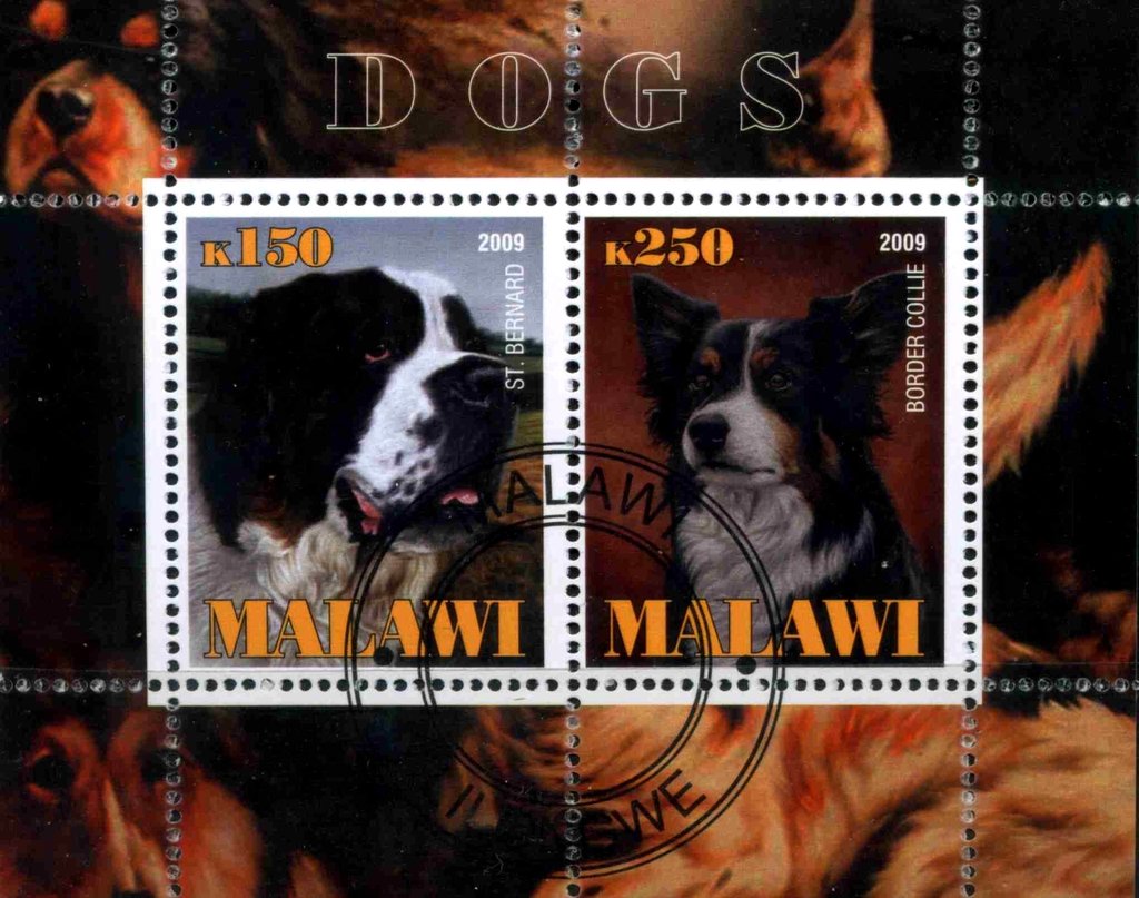 Dogs