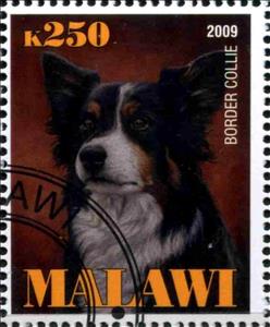Stamp, Border Collie, Cinderellas,  , Dogs