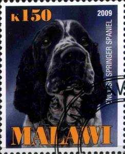Stamp, English Springer Spaniel, Cinderellas,  , Dogs