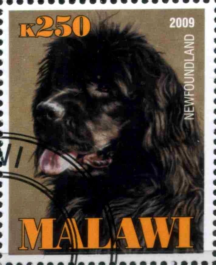 Newfoundland