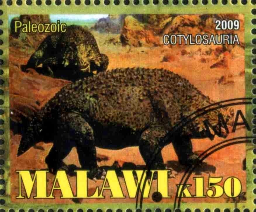 Cotylosauria