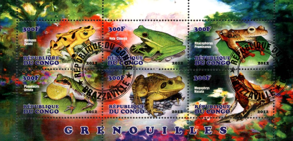 Frogs