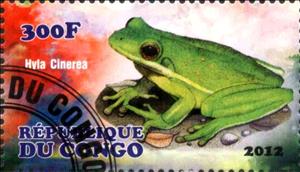 Stamp, Hyla cinerea, Cinderellas,  , Frogs