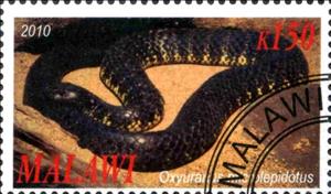 Stamp, Oxyuranus microlepidotus, Cinderellas,  
