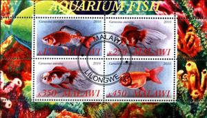 Mini Sheet, Aquarium Fish, Cinderellas,  