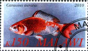 Stamp, Carassius auratus, Cinderellas,  