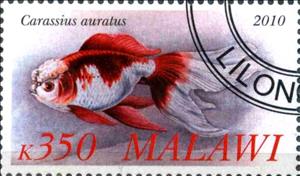 Stamp, Carassius auratus, Cinderellas,  
