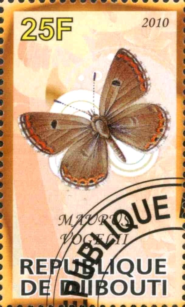 Maurus Vogelii