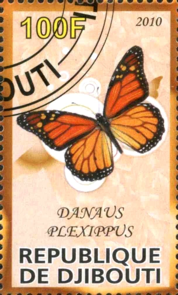 Danaus Plexippus