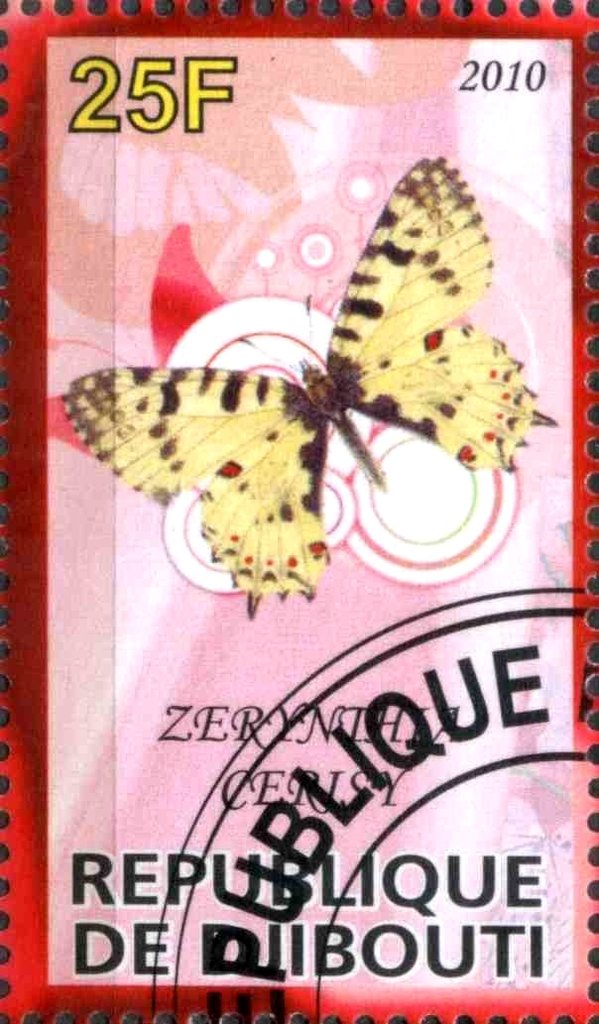 Zerynthia Cerisy