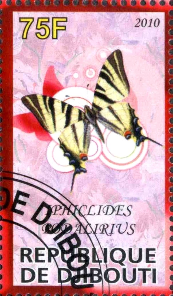 Iphiclides Podalirius