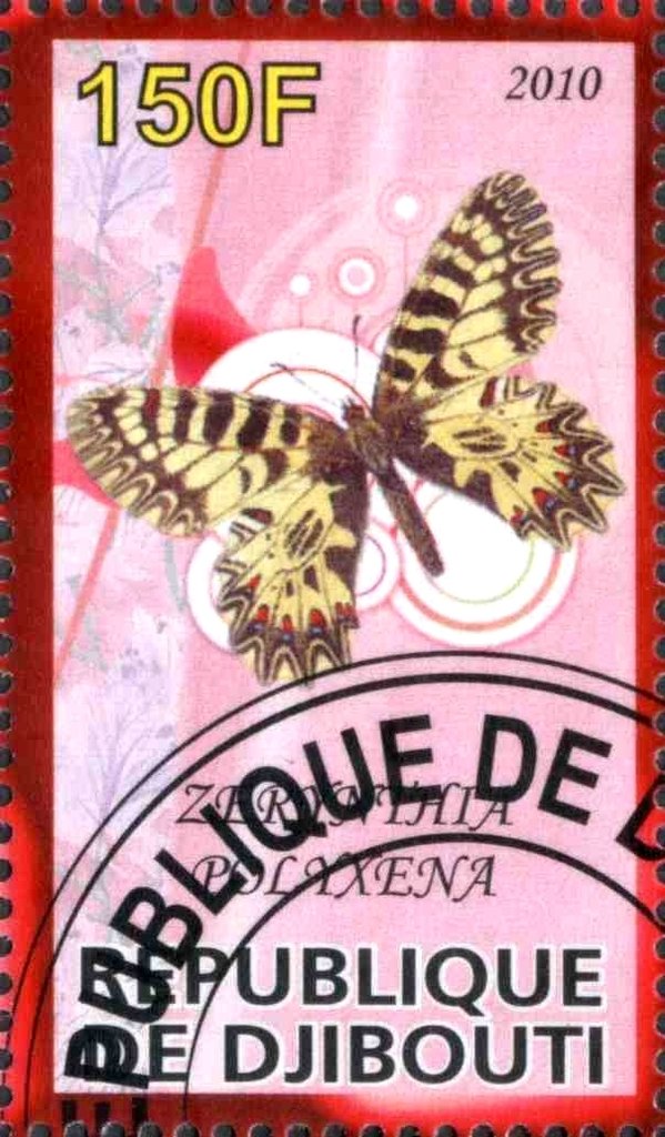 Zerynthia Polyxena
