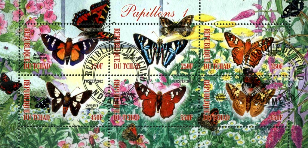 Papillons 1