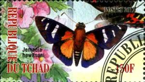 Stamp, Jemadia hewitsoni, Cinderellas,  , Butterflies