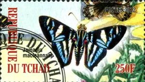 Stamp, Jamadia macleannant, Cinderellas,  , Butterflies