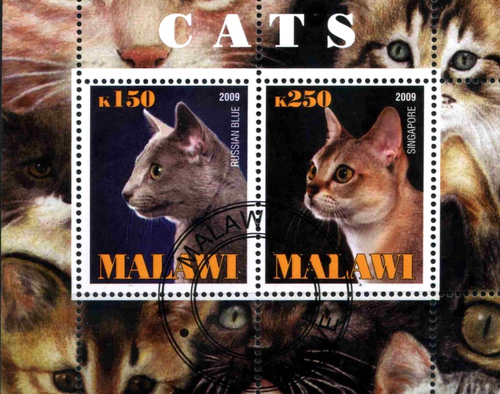 Cats