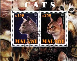 Mini Sheet, Cats, Cinderellas,  , Cats