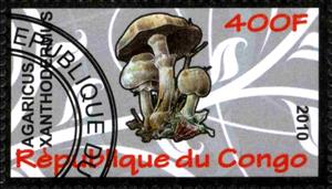 Stamp, Agaricus xanthoderimus, Cinderellas,  , Mushrooms