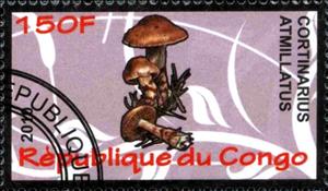 Stamp, Cortinarius atmillatus, Cinderellas,  , Mushrooms