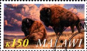 Stamp, Bison bison, Cinderellas,  